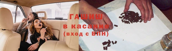 гашик Алексин