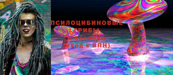 гашик Алексин