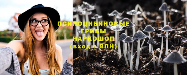 прущие крисы Алзамай