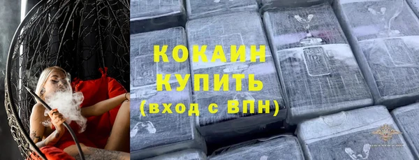 гашик Алексин