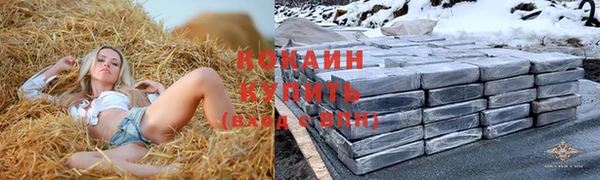 гашик Алексин