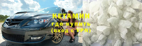 гашик Алексин