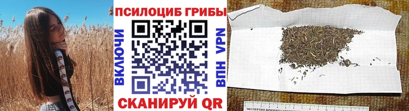 Псилоцибиновые грибы прущие грибы  Новоульяновск 